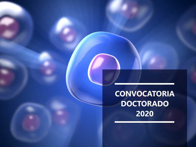 convocatoria-doctorado-2020-1.jpg