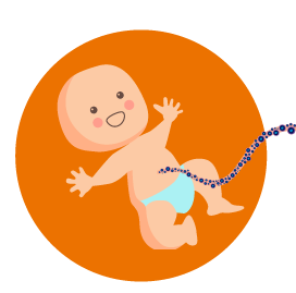 gráfica bebe recien nacido con células madre en el cordón umbilical