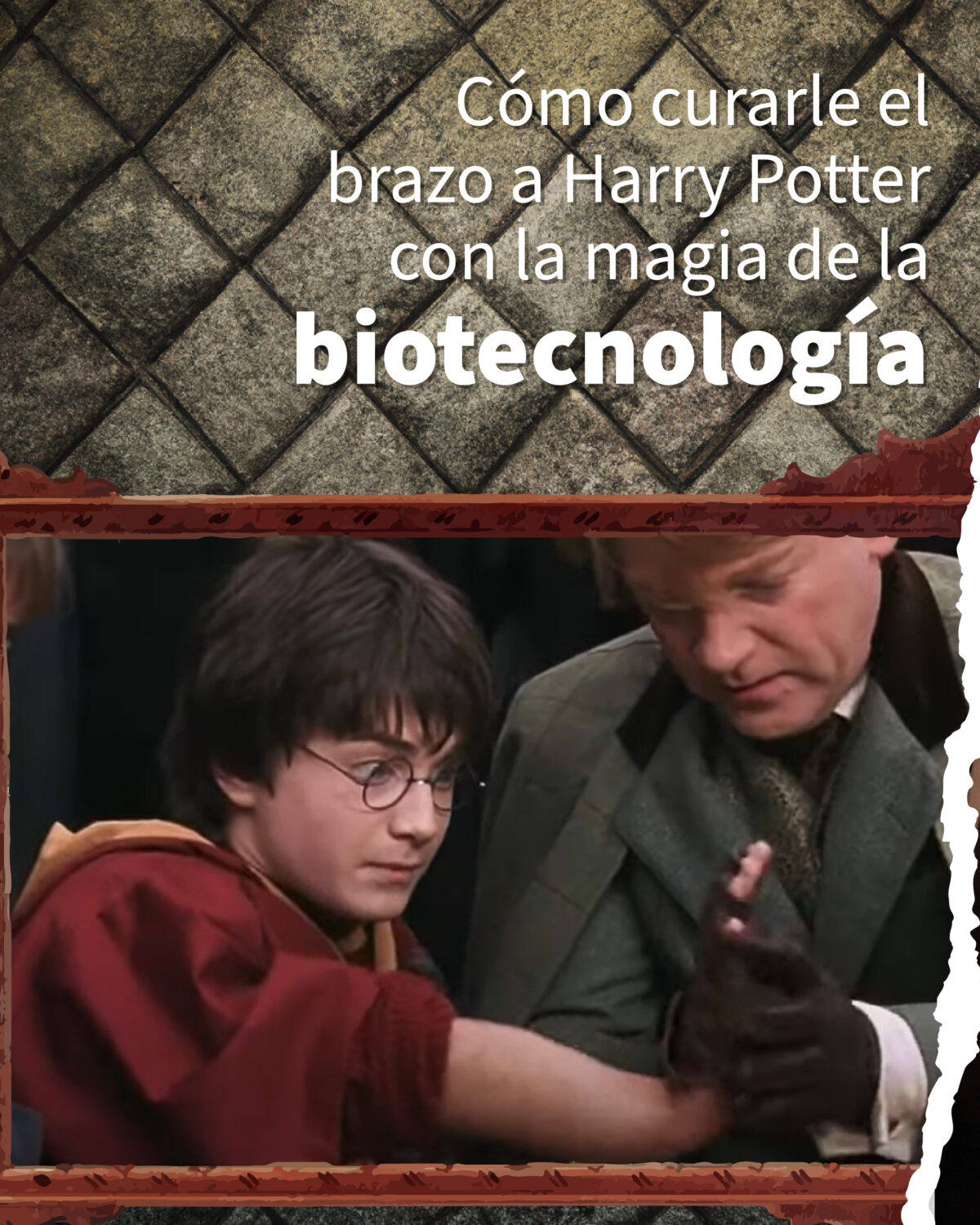 Curar el brazo con la magia de la biotecnología-01