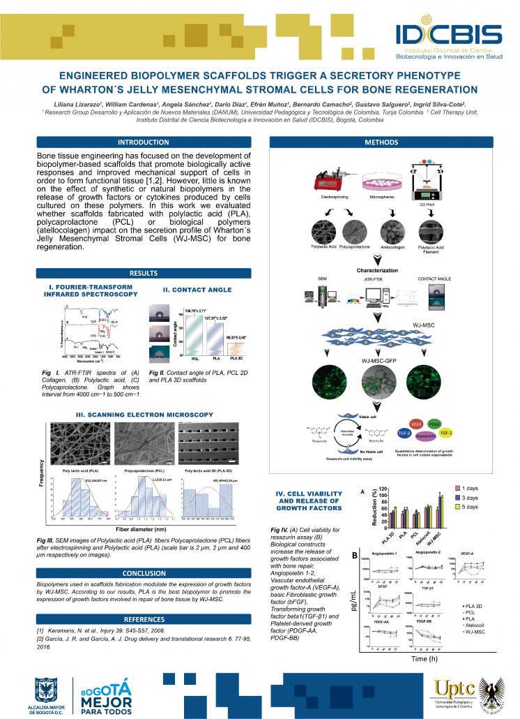 muestra del trabajo de investigación en el 29th Annual Meeting of the European Society for Biomaterials, Holanda.