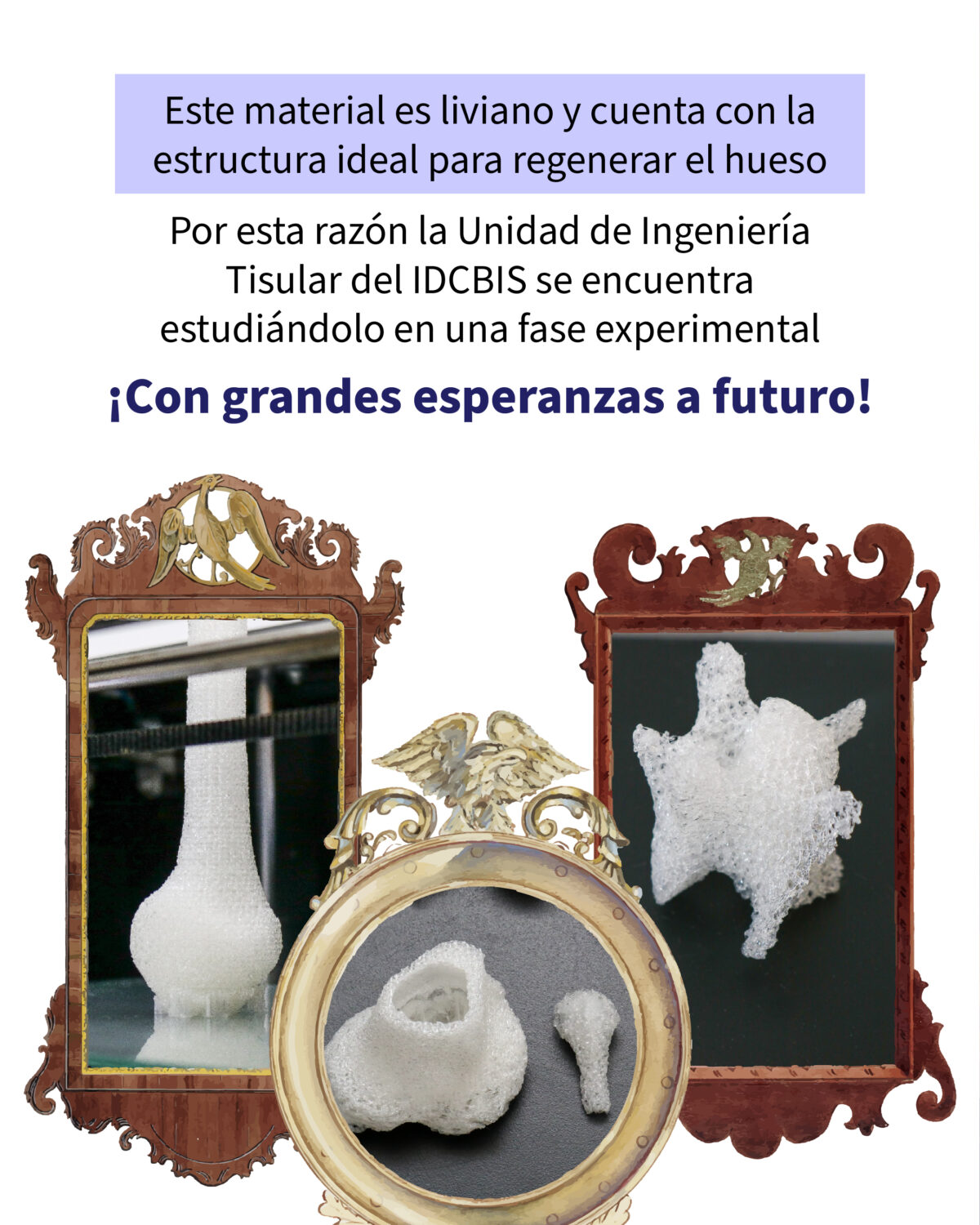 Curar el brazo con la magia de la biotecnología-09
